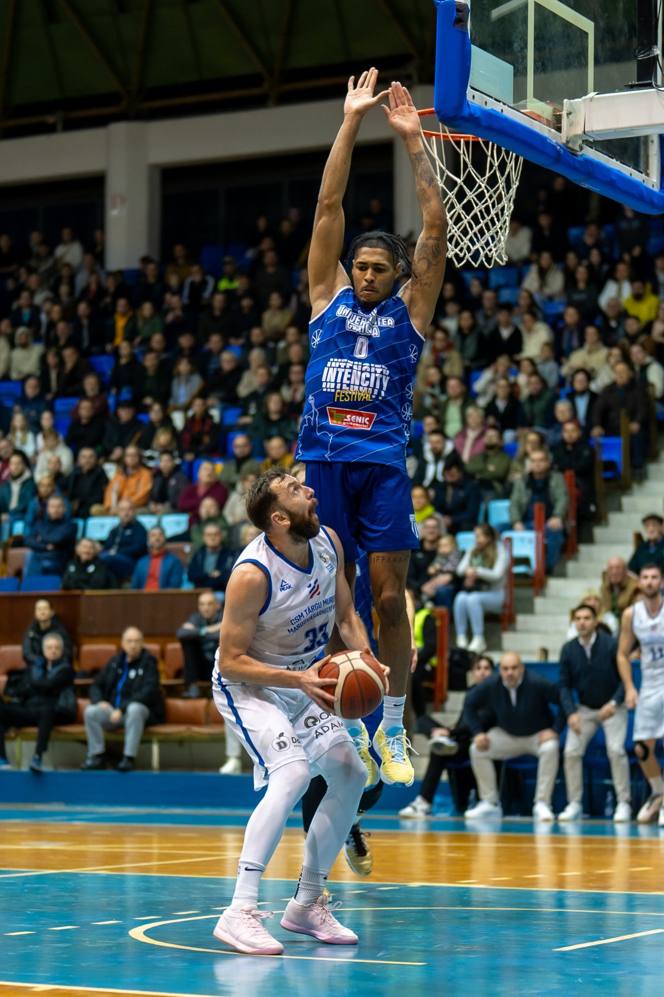 •  Fotó: Haáz Vince