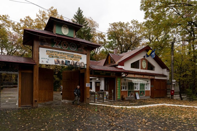 Adventre készülnek a marosvásárhelyi állatkertben is