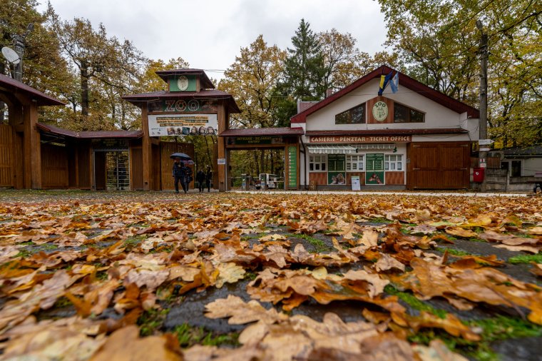 Rövidebb nyitvatartás az állatkertben