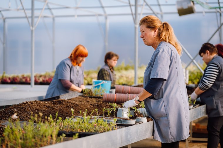 Több virág, jobb munkakörülmények: megújult a városi kertészet