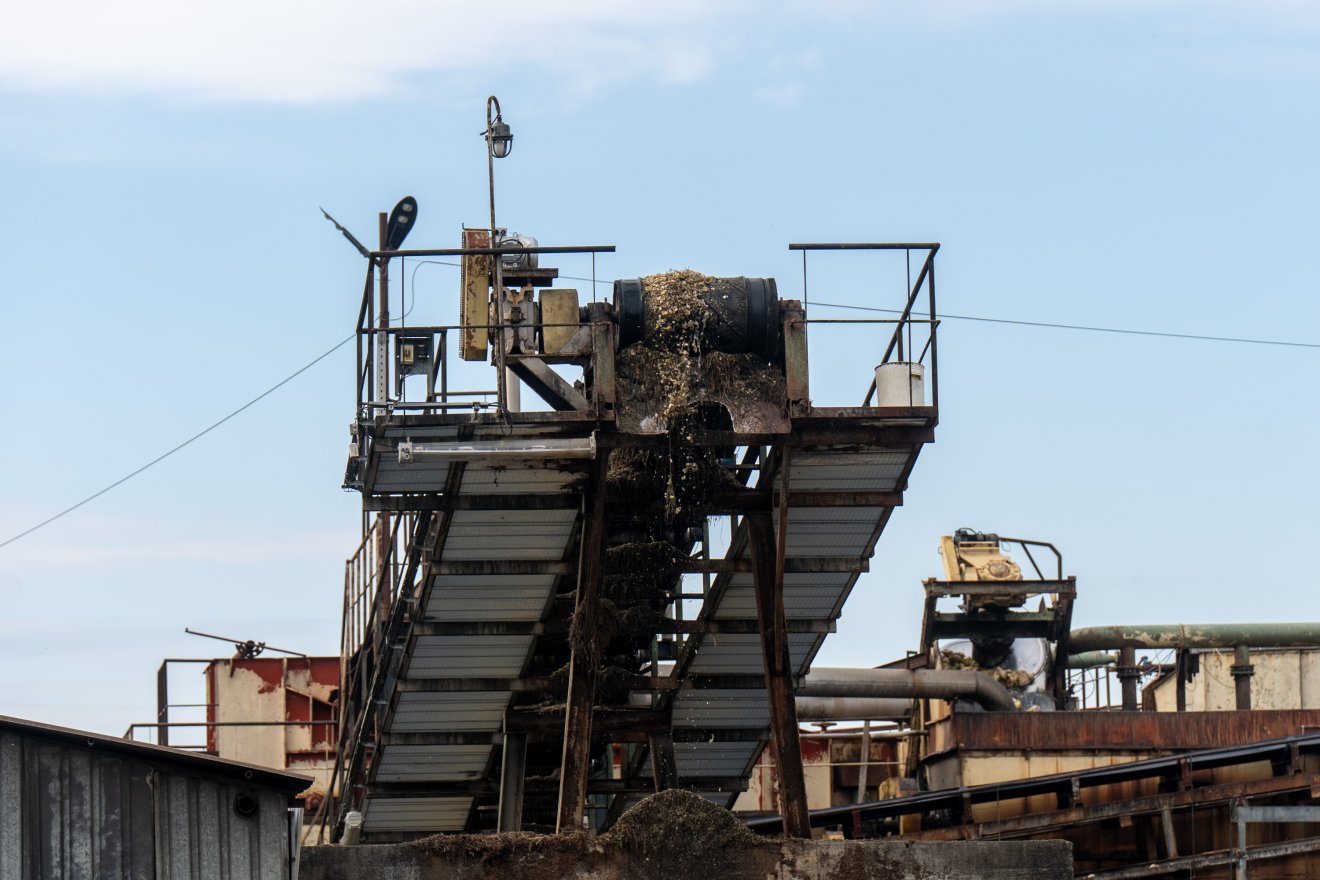 Selejt, amit lemosnak a répáról &bullet;  Fotó: Haáz Vince