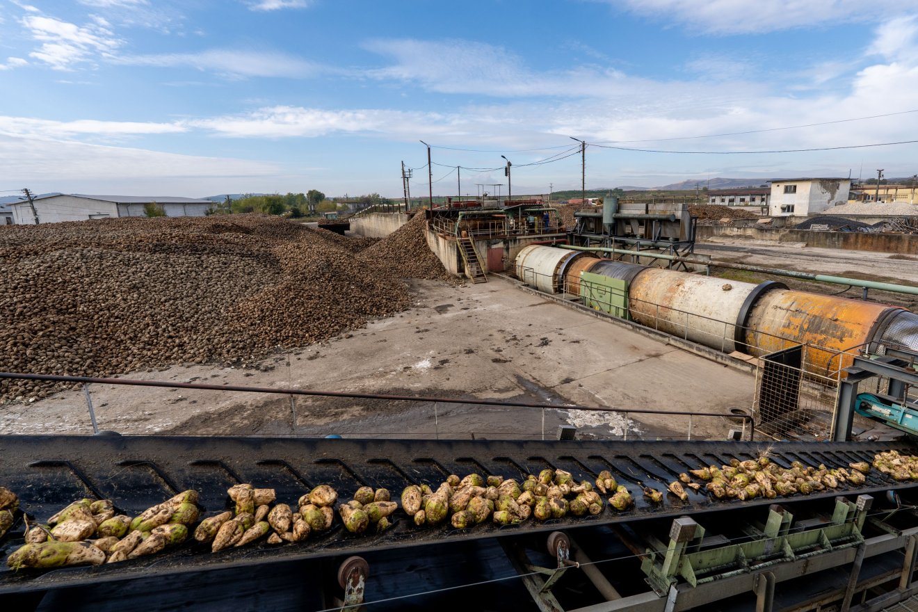 &bullet;  Fotó: Haáz Vince
