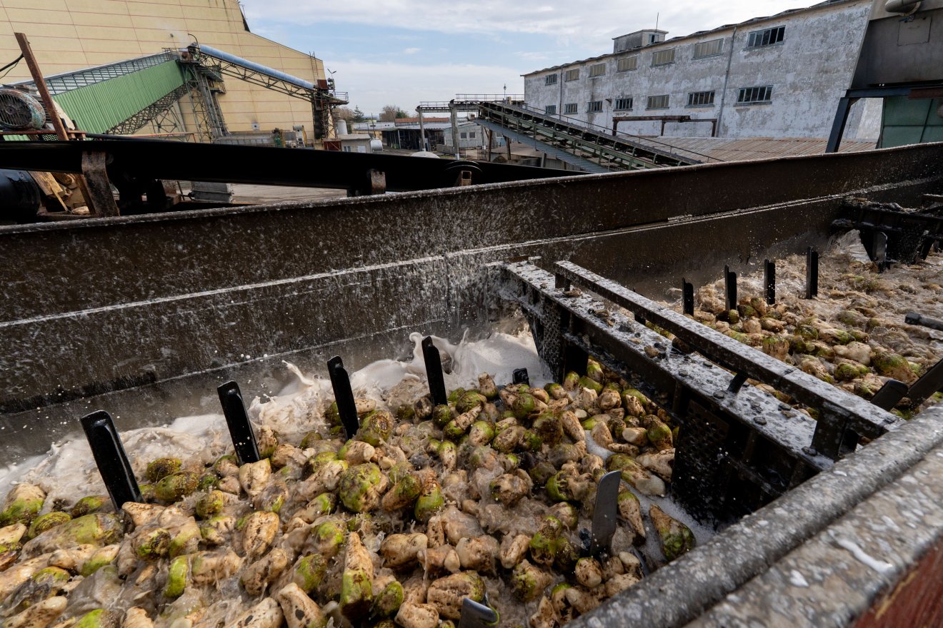 Naponta háromezer-ötszáz tonnát tudnak feldolgozni &bullet;  Fotó: Haáz Vince
