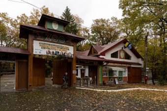 Adventre készülnek a marosvásárhelyi állatkertben is