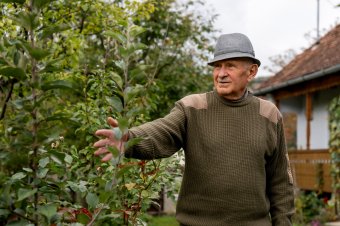 A régi almafajtáiról híres marosszéki zsákfalu