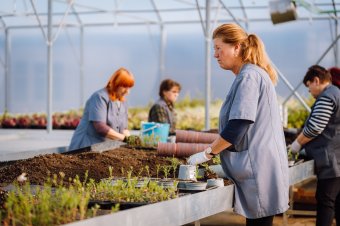 Több virág, jobb munkakörülmények: megújult a városi kertészet