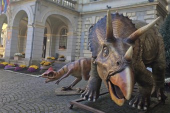 Megérkeztek a dinók Segesvárra