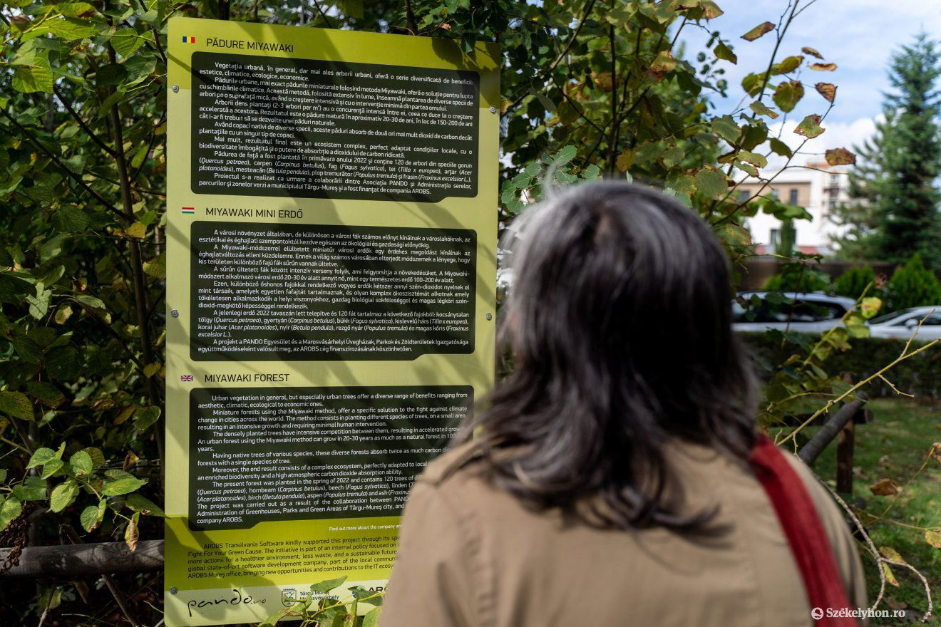 Szükség van a lakosság tudatosítására, hiszen sokan nem látják a hasznát •  Fotó: Haáz Vince