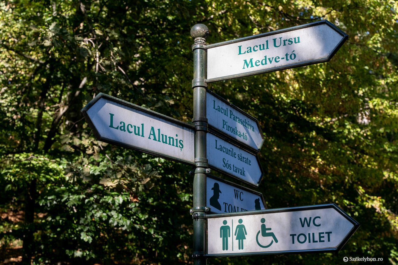 Van látnivaló •  Fotó: Haáz Vince