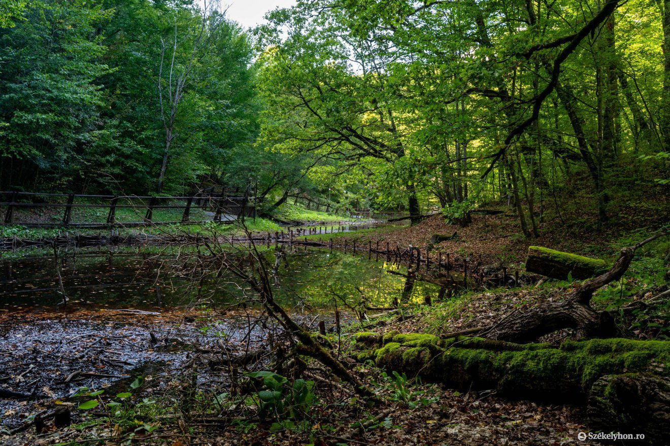 •  Fotó: Haáz Vince