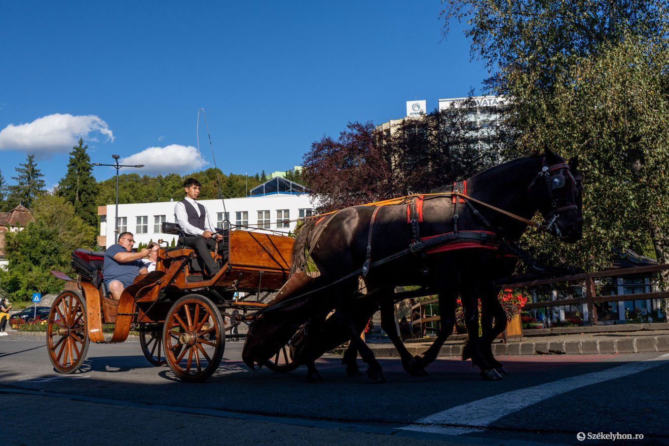 A szekerezést sokan szeretik •  Fotó: Haáz Vince