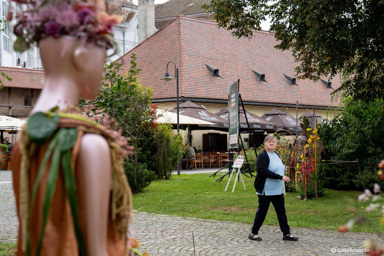 • Fotó: Haáz Vince