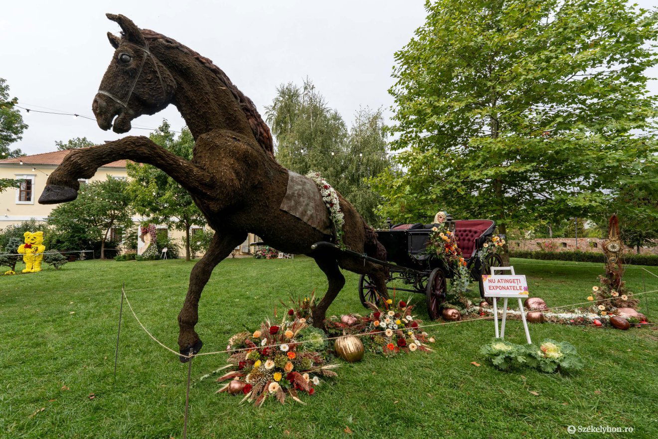 •  Fotó: Haáz Vince