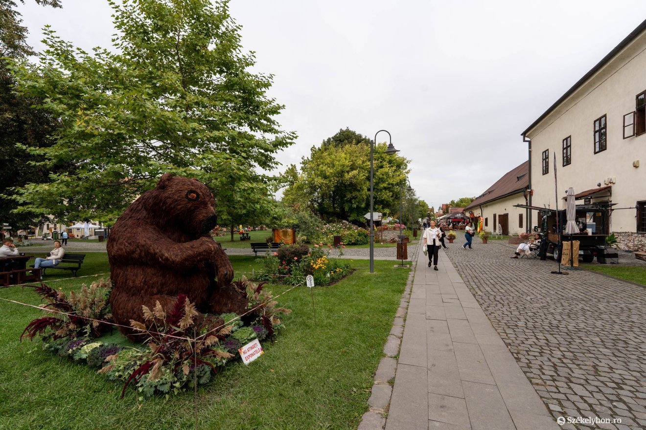 •  Fotó: Haáz Vince