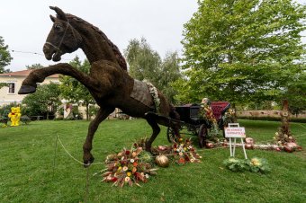 Virágszobrok és sok színes program Marosvásárhelyen