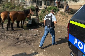 Kivonultak az utcákra, bírságoltak, faanyagot koboztak el