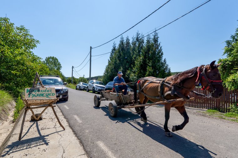 „Minket senki nem értesített, mégis mi fizettük meg az árát” – Nagyadorján polgármestere a Tisza-táborról