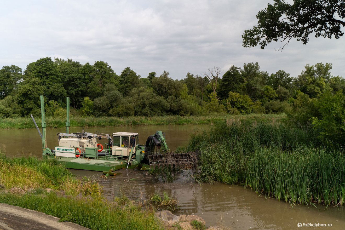 •  Fotó: Haáz Vince