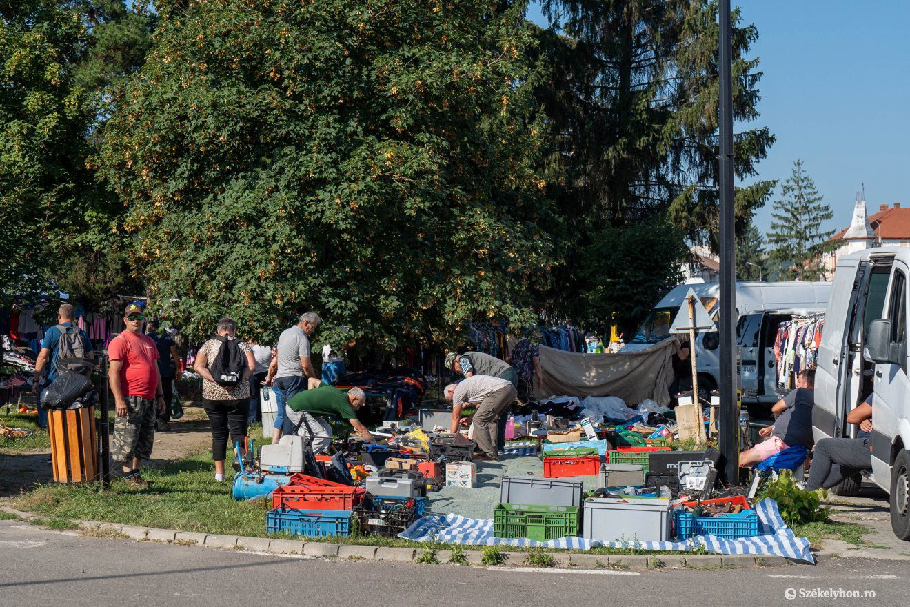 A szerszámokból soha nincs elég •  Fotó: Haáz Vince