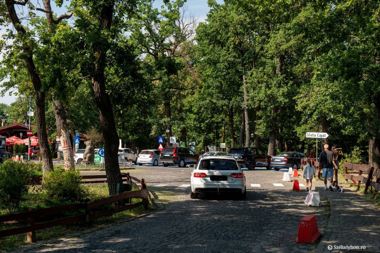 Népszerű a Somostető •  Fotó: Haáz Vince