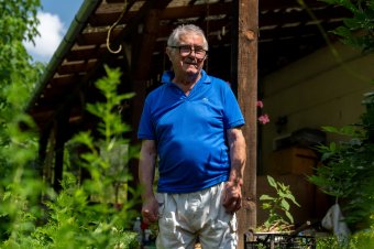 Egynyári üröm: a jeddi állatorvos küldetése, hogy megismertesse a „csodanövényt”
