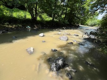 Vízügy: a Kis-Küküllő és a Maros sótartalma láthatóan csökken