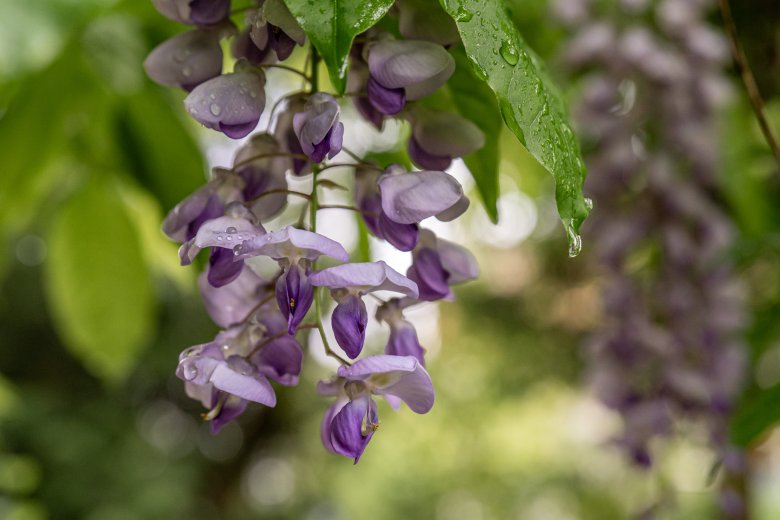 Változékony időjárásra kell számítani majális idején