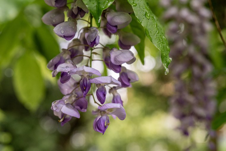 Változékony időjárásra kell számítani majális idején