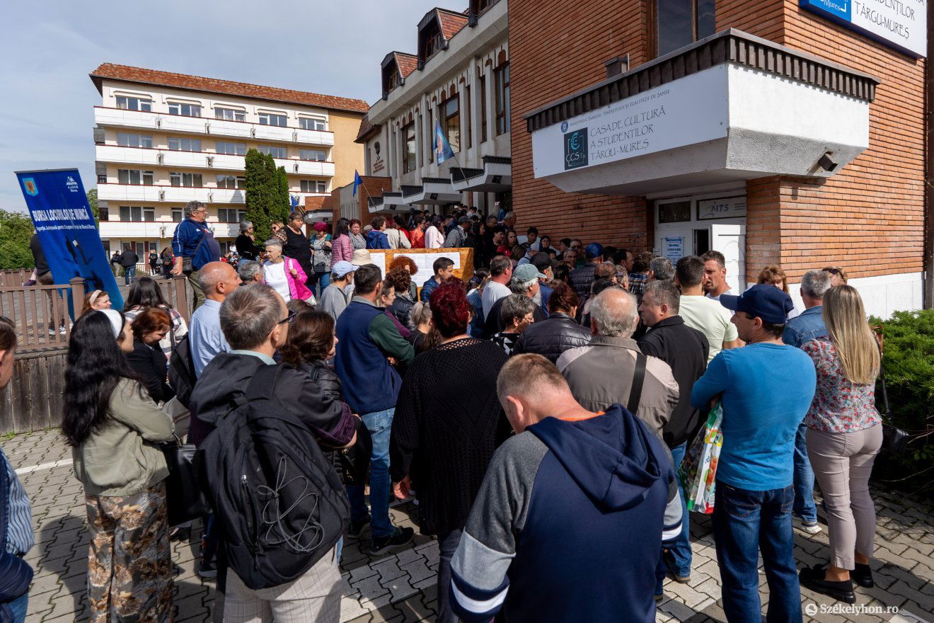 •  Fotó: Haáz Vince