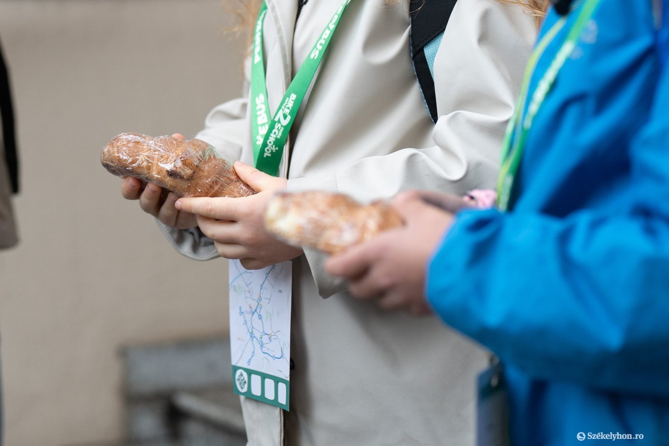 Croissant-nal jutalmazták a reggeli lábuszozókat •  Fotó: Haáz Vince