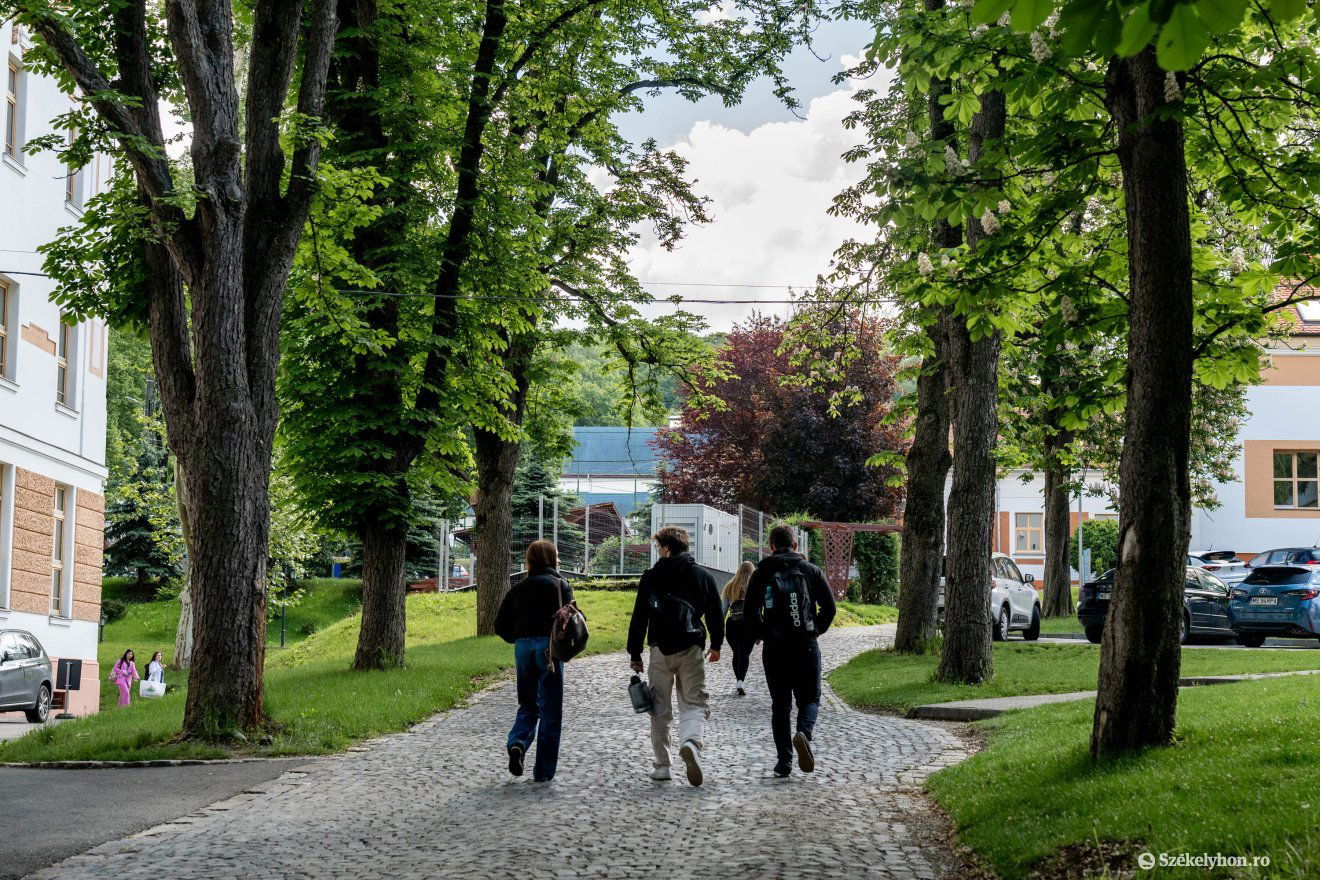 Az orvosi egyetem közelében kószál a medve •  Fotó: Haáz Vince