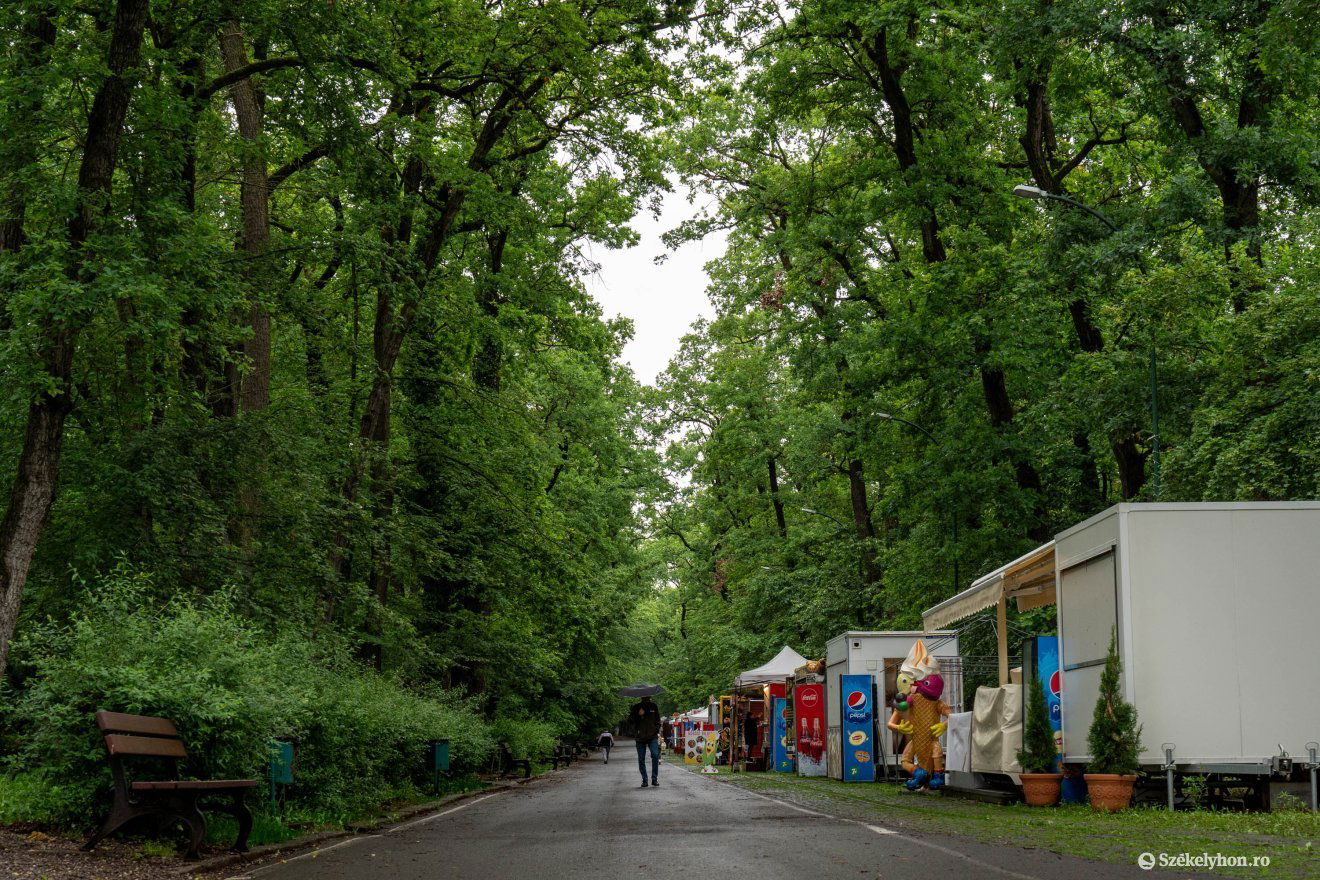 Az Állatkert felé vezető sétány •  Fotó: Haáz Vince