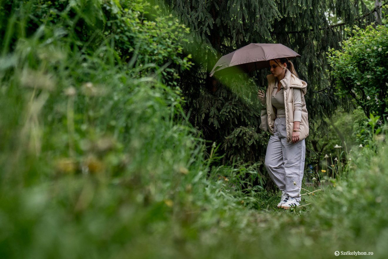 A Szerelmesek parkjában szinte térdig ér a fű •  Fotó: Haáz Vince