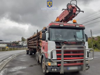 Ötvenezer lej értékű faanyagot koboztak el a szentegyházi rendőrök