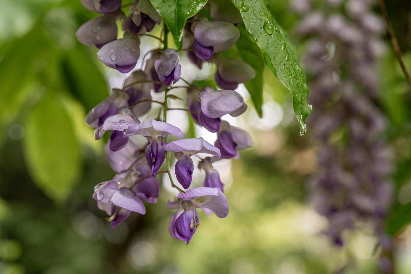Változékony időjárásra kell számítani majális idején