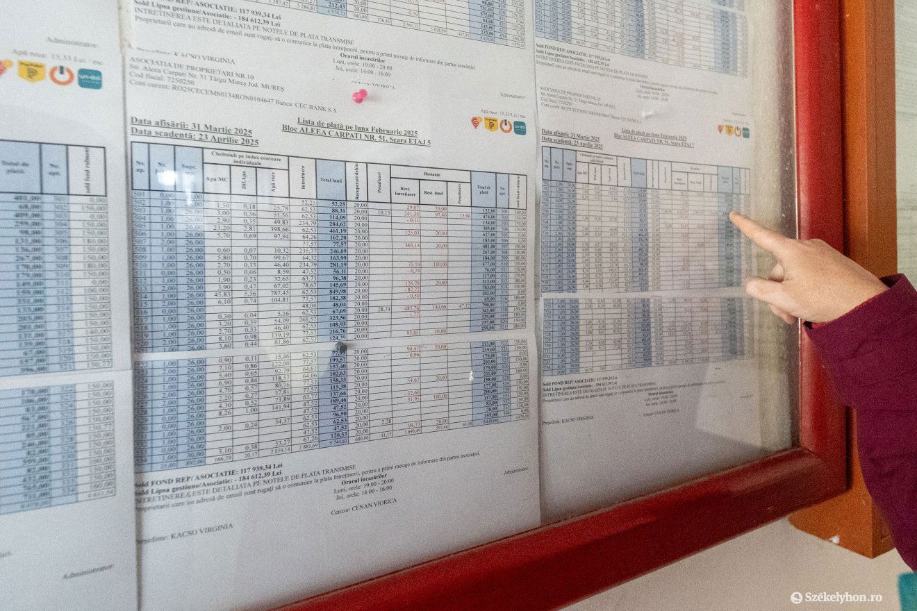 A 340-ből közel ötvenen tartoznak a közköltséggel •  Fotó: Haáz Vince