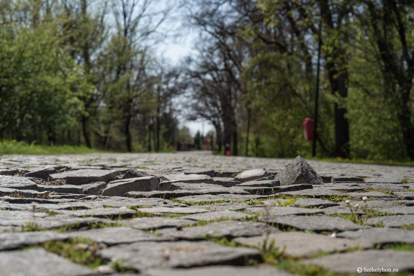 A Somostetőn is helyrerakják a kockaköveket •  Fotó: Haáz Vince
