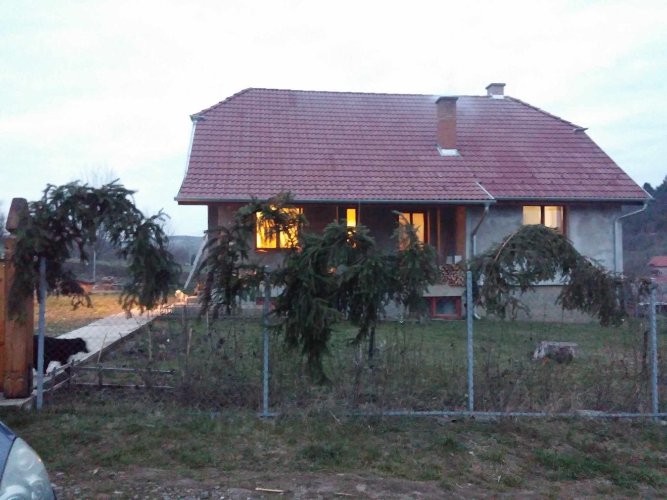 Galambodon csak friss fenyőágat tesznek a kapura, nem díszítik ki szalaggal •  Fotó: Zólyomi Mónika saját archívuma