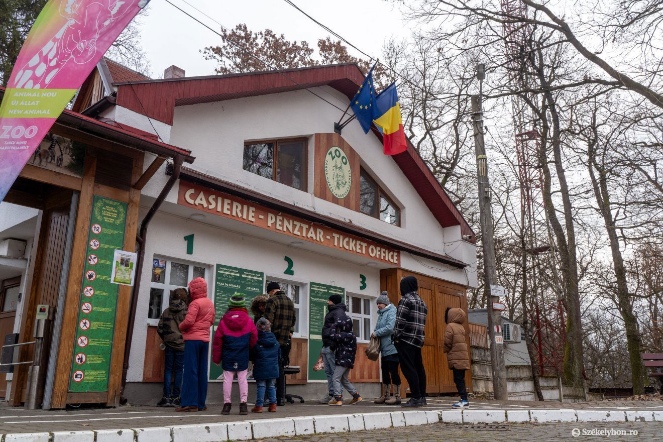 Vakációban is népszerű volt az állatkert •  Fotó: Haáz Vince