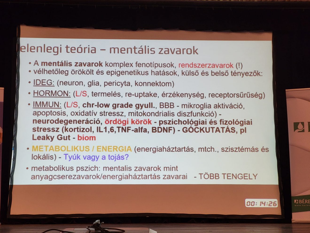 •  Fotó: Hajnal Csilla