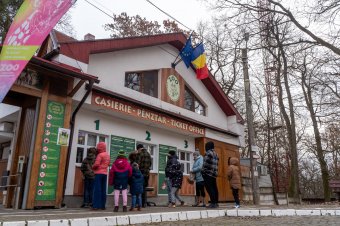 Változik a program a Marosvásárhelyi Állatkertben