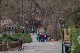 Éjszakai kaland a Marosvásárhelyi Állatkertben