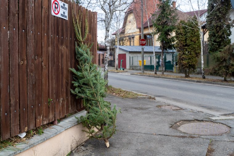 A díszestől kidobott karácsonyfa nem újrahasznosítható