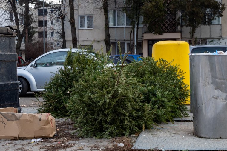 Vízkereszt után lassan megszabadulunk a karácsonyfától, de nem mindegy, hogyan