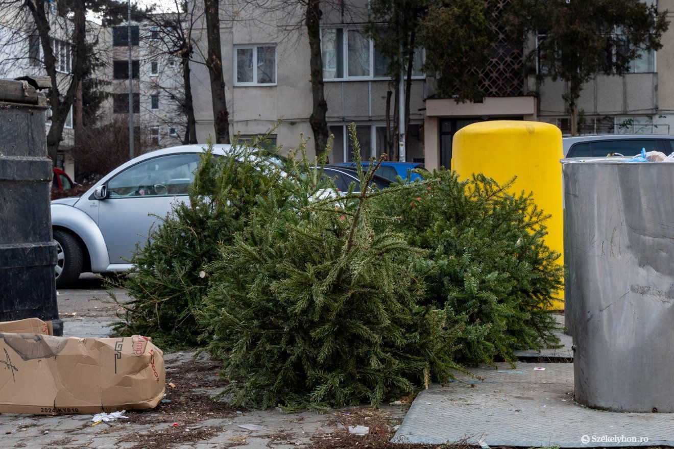 Vízkereszt után hirtelen hulladék lesz a karácsonyi pompából •  Fotó: Haáz Vince