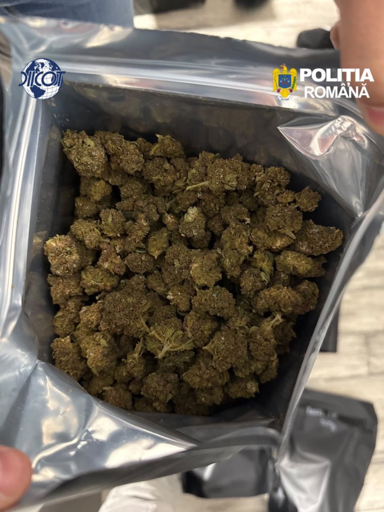 Több mint egy kiló kannabiszt adtak tovább, amikor lecsaptak rájuk a rendőrök
