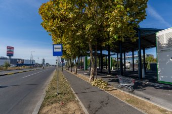 Modern buszok, akadozó kijelzők – így áll a marosvásárhelyi tömegközlekedés korszerűsítése