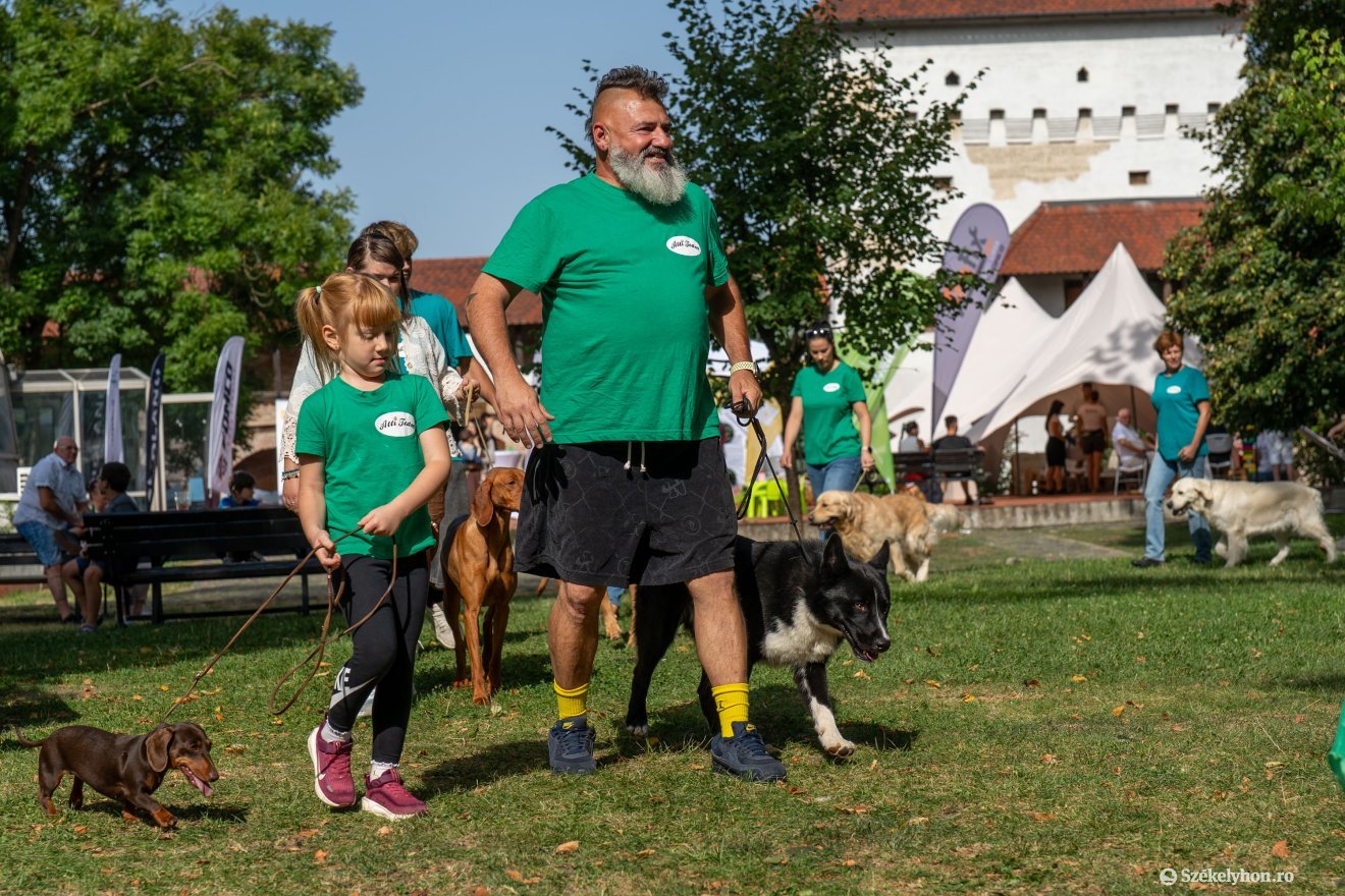 &bullet;  Fotó: Haáz Vince