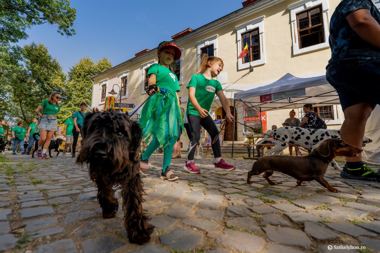 &bullet;  Fotó: Haáz Vince
