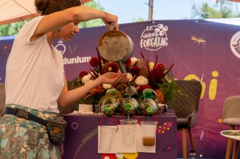Hiánypótló konferenciát szerveznek a magyar pedagógusok számára a Bolyaiak városában